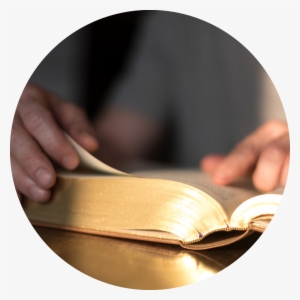 Bibmiss Logo Photo Circle Green - Bible
