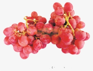 Picture Of Red Muscat Grapes - Grape