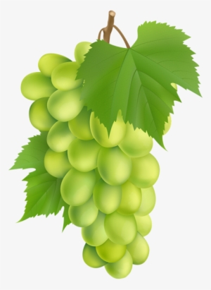 White Grape Png Clip Art Image - Seedless Fruit