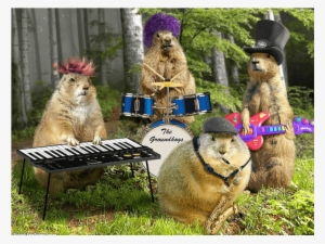 Groundhog Day - Funny Groundhogs