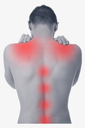 Spine Scan Chiropractic Clinic Perth Can Accurately - Shoulder Pain