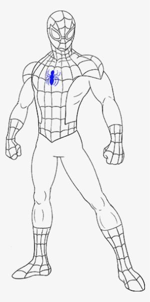 How To Draw Spiderman - Drawing