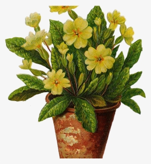 Flowerpots Clipart Beautiful Flower - Tattoo Of Yellow Primrose