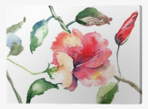 Watercolor Illustration Of Beautiful Flowers Canvas - Photography
