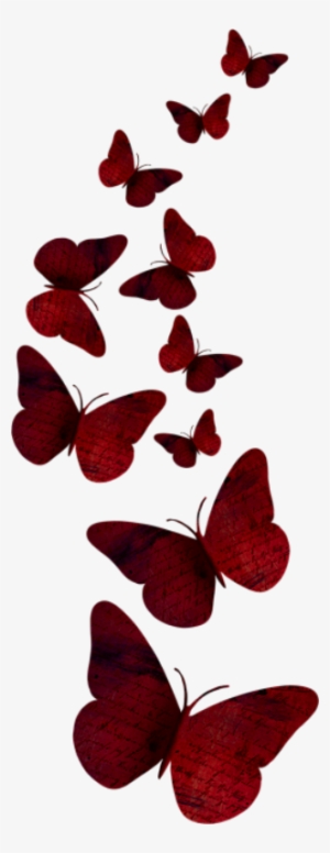 Dbv Betsys Paradise Dream Butterfly - Imagenes De Mariposas Rojas Png