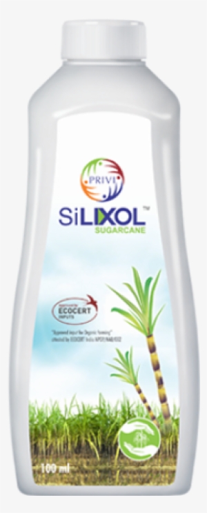 Silixol Sugarcane - Sugarcane