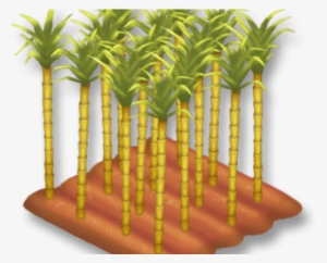 Bamboo Clipart Single Sugarcane Plant - Sugarcane Transparent PNG - 640x480  - Free Download on NicePNG