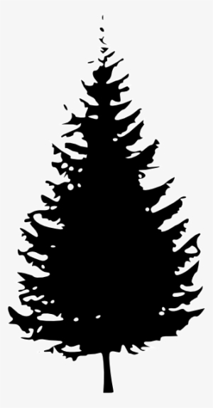 Evergreen Tree Silhouette Png