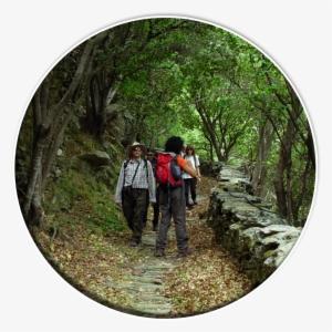 Hiking Tours - Backpacking