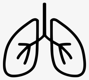 Lungs Breathe Comments - Lung