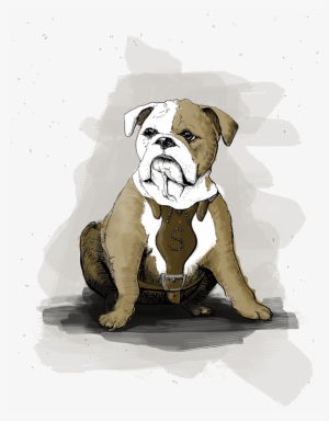 In Fact, His Very Name Honors The Legendary Voice Of - Olde English Bulldogge