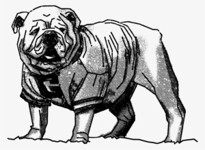 Uga Facingleft - Uga Bulldog Black And White