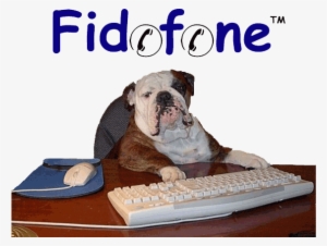 Can Now Visit Your Pet With Our Virtual Pet Visiting - Funny Bulldog