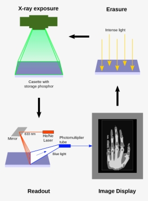 Open - Computed Radiography