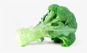 Get More From Me - Broccoli