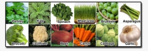 12 Whole Vegetables - Food