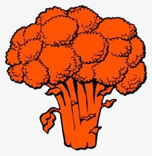Small - Broccoli Clip Art