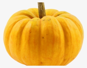 Pumpkin Png Image2 - Pumpkin