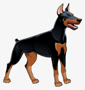 Hund Animal Illustrations, Animal Drawings, Doberman - Cartoon Doberman
