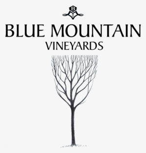 Blue Mountain Vineyards Colorado