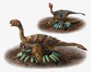 how does a one-ton dino hatch its eggs carefully - incubation behaviours of oviraptorosaur dinosaurs in