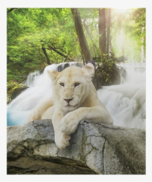 east urban home white lion graphic art print on canvas