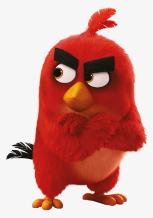 if learning english with the angry birds isn't right - angry birds