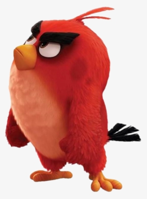 Angry Birds Images Red Wallpaper And Background Photos - Angry Birds Film Red