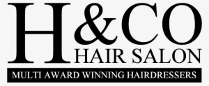 H & Co Hair Salon - R & G Logo
