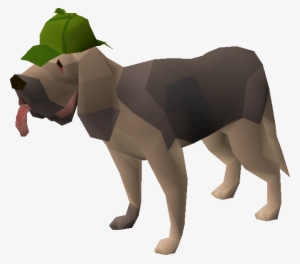 Bloodhound Pet - Bloodhound Pet Osrs
