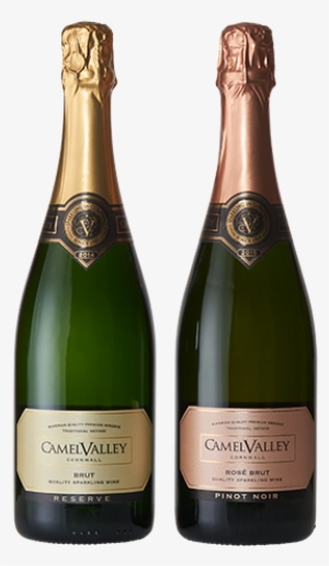 Star Buys Camel Valley Sparkling Wines - Champagne