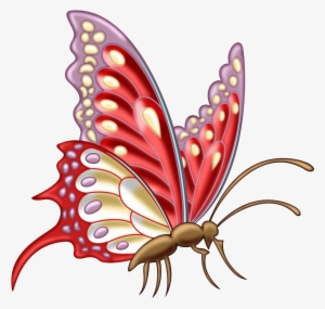 Clipart Insect Drawing Butterfly Png