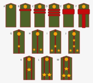 1943 Field Pogonii Rank Insignia - Soviet Army Ranks