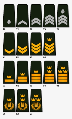 Graalstone Armed Forces Ranks, Awards And Medals - Emblem
