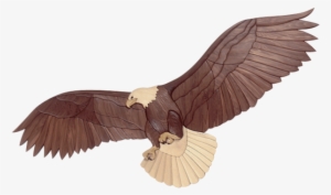Intarsia Woodworking Pattern Of A Bald Eagle In Flight - Scroll Saw Projects Eagle