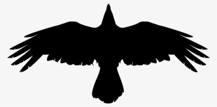 Download Crow Png Picture - Crow Png