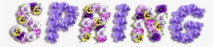Purple Spring Clipart