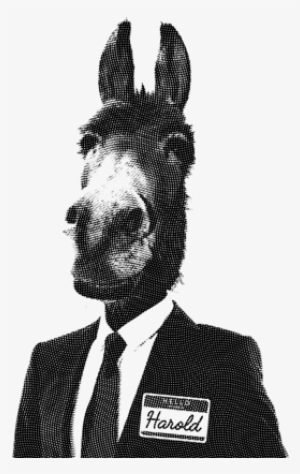 Harold-donkey - Man With Donkey Head