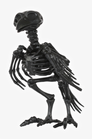 Black Skeleton Crow - Skeleton Crow
