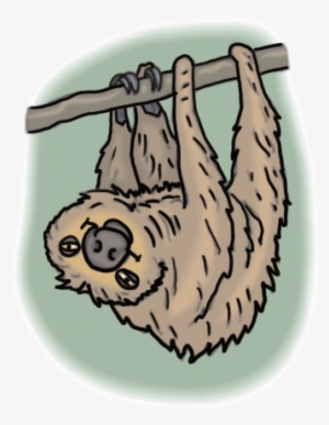 Sloth - Illustration