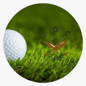 Inverness Golf Club - Poster: Jannoon028's Golf Ball On Green Grass, 61x41in.