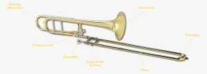 Las Principales Partes Del Trombón De Varas Son - Types Of Trombone