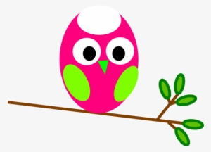 Pink And Green Owl Png