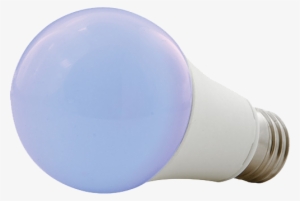 Led Screw-in Black Light Rentals - American Dj Blb7w 7-watt Ultraviolet Led Bulb