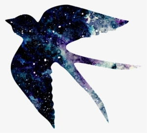 Hand Painted Bird Under The Stars Png Transparent - Portable Network Graphics