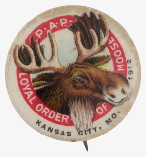 Loyal Order Of Moose Club Button Museum - Elk