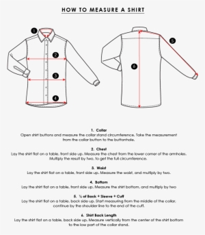 How Do I Find My Shirt Size And Correct Fit - Diagram Transparent PNG ...