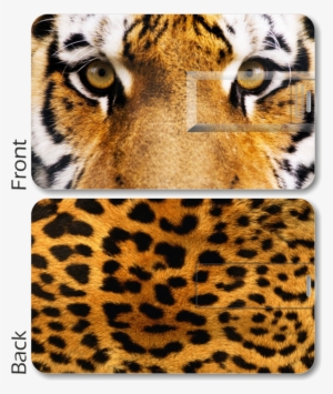 Tiger Print Card Pen Drive - Amur Leopard Skin Background