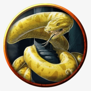 Constrictor Snake - Serpent