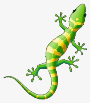 Ibiza Gecko